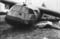 l_125d