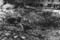 mi_144d